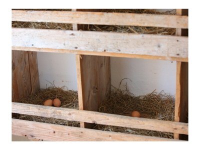 Holiday apartment Lapperhof - Outdoor photo 17