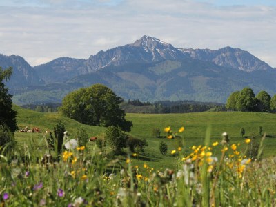 Holiday apartment Lapperhof - Environment photo 32