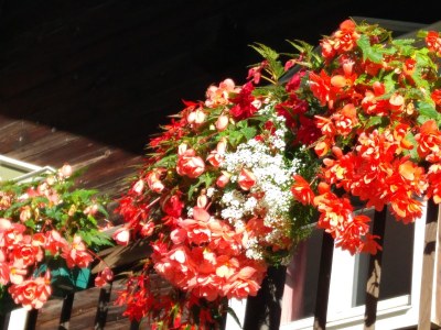 Holiday apartment Haus Even - Outdoor photo 5