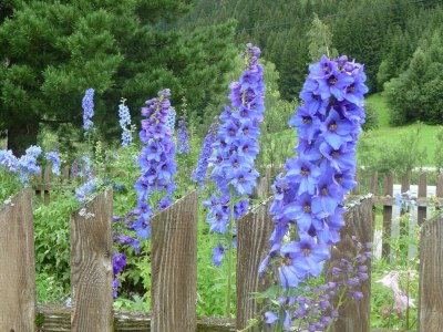 Holiday apartment Haus Even - Outdoor photo 10