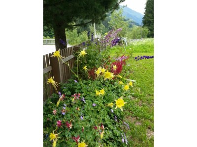 Holiday apartment Haus Even - Outdoor photo 12