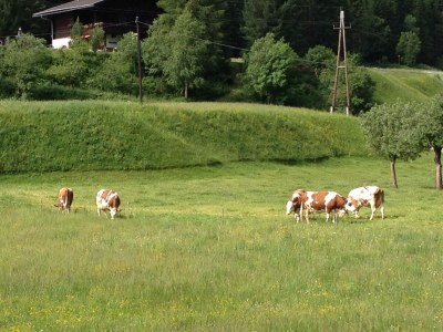 Holiday apartment Haus Even - Outdoor photo 13