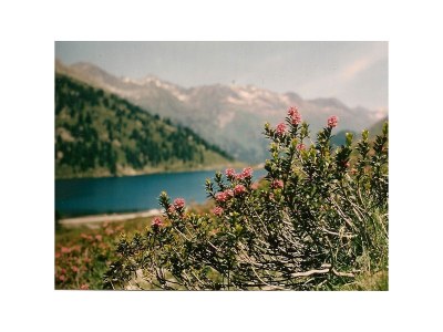 Holiday apartment Haus Even - Environment photo 29