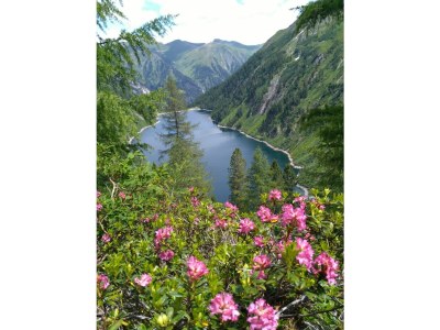 Holiday apartment Haus Even - Environment photo 30