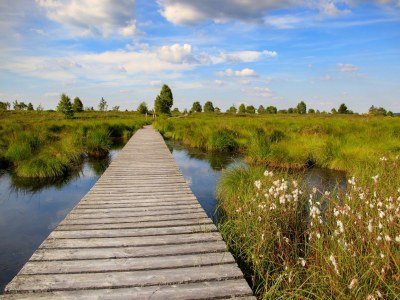 Holiday apartment am Grölisbach - Eifel - Environment photo 29