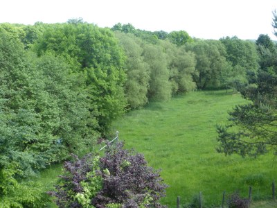 Holiday apartment am Grölisbach - Eifel - Environment photo 30