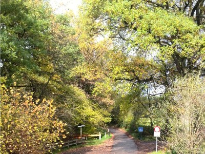 Holiday apartment am Grölisbach - Eifel - Environment photo 31