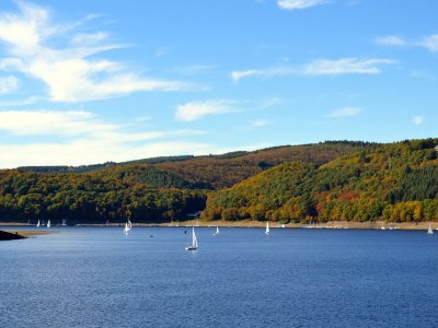Holiday apartment am Grölisbach - Eifel - Environment photo 33