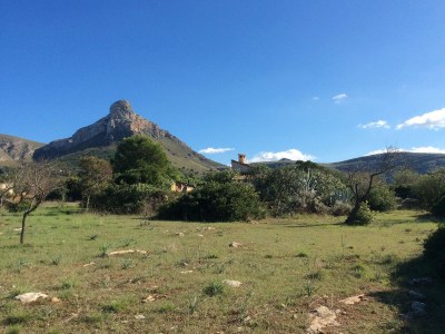 Finca Casita Pura Vida - Outdoor photo 6