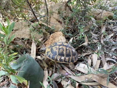 Finca Casita Pura Vida - Outdoor photo 10