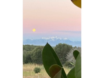 Finca Casita Pura Vida - Outdoor photo 12