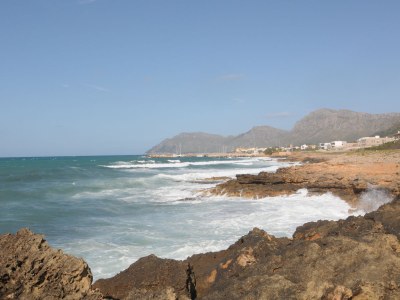 Finca Casita Pura Vida - Environment photo 23