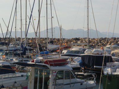 Finca Casita Pura Vida - Environment photo 24