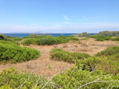 Finca Casita Pura Vida - Environment photo 25