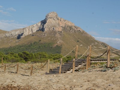 Finca Casita Pura Vida - Environment photo 26
