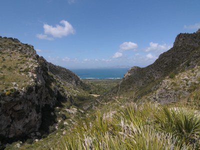 Finca Casita Pura Vida - Environment photo 27