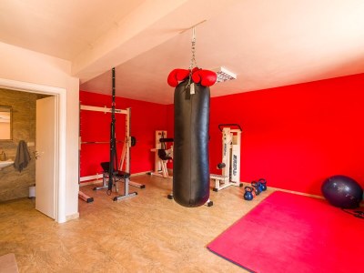 Villa Villa Mirna - Features photo 20