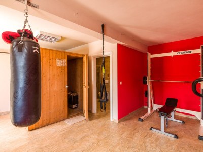 Villa Villa Mirna - Features photo 21