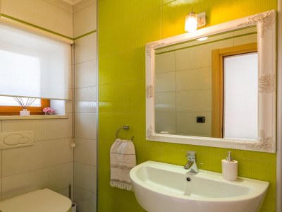 Villa Villa Mirna - Features photo 29