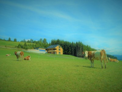 Chalet Traumblick - Outdoor photo 5