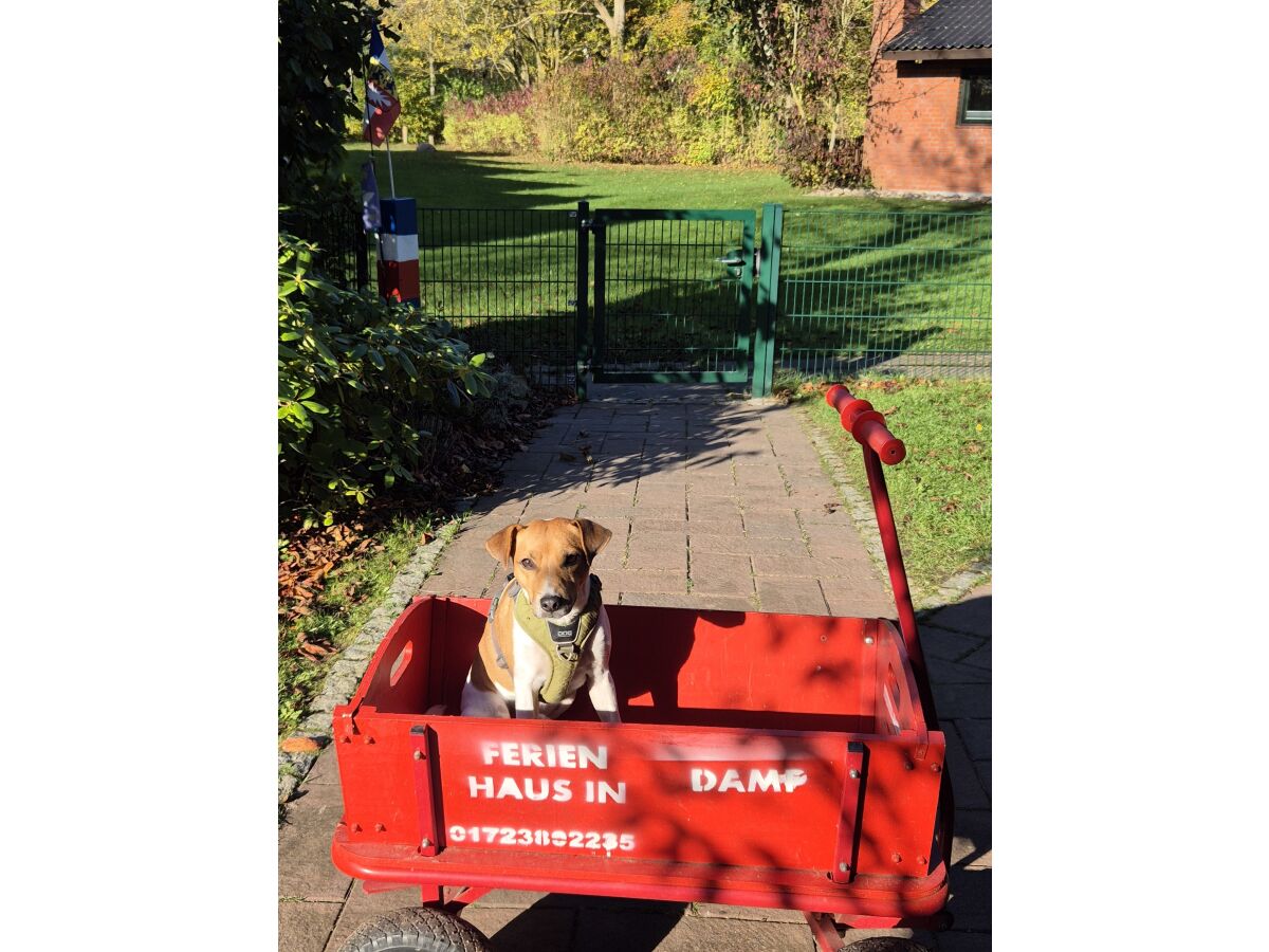 Holiday house Gemütliches Ferienhaus in Damp - Outdoor photo 4
