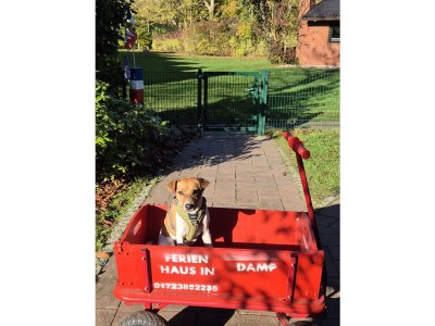 Holiday house Gemütliches Ferienhaus in Damp - Outdoor photo 4
