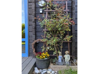 Holiday house Gemütliches Ferienhaus in Damp - Outdoor photo 7