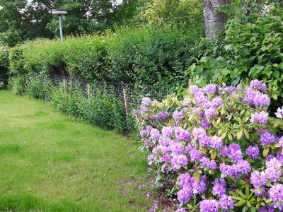 Holiday house Gemütliches Ferienhaus in Damp - Outdoor photo 8
