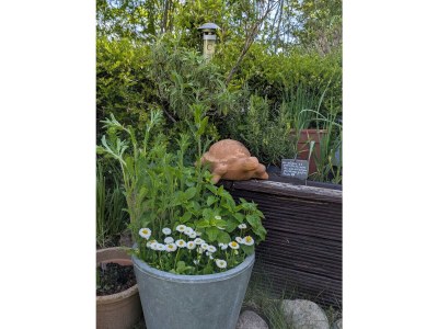 Holiday house Gemütliches Ferienhaus in Damp - Outdoor photo 9