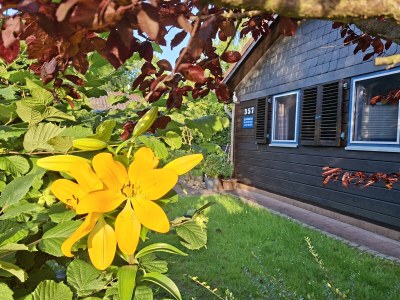 Holiday house Gemütliches Ferienhaus in Damp - Outdoor photo 13