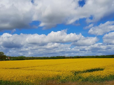 Holiday house Gemütliches Ferienhaus in Damp - Environment photo 35