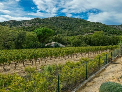 Villa Le Vigne - Outdoor photo 8