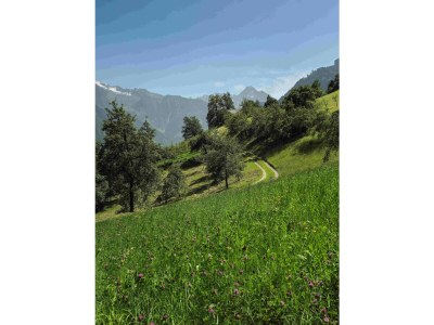 Holiday apartment Abendrot - Environment photo 30