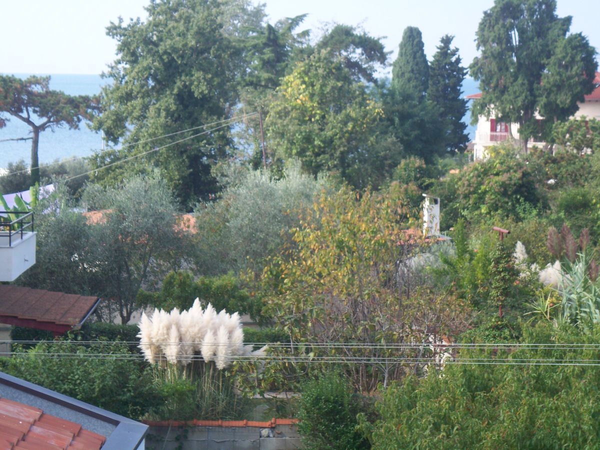 Apartment Sanja 1 - Outdoor photo 4