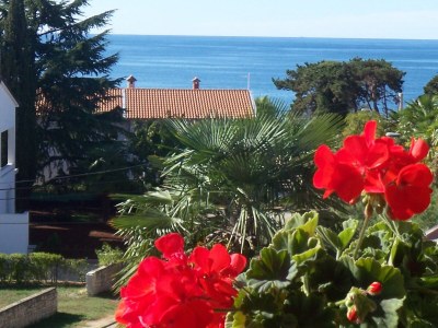 Apartment Sanja 1 - Outdoor photo 2