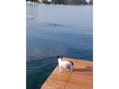 Apartment Sanja 1 - Outdoor photo 6