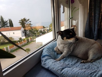 Apartment Sanja 1 - Outdoor photo 10