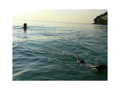 Apartment Sanja 1 - Outdoor photo 12