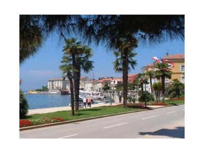 Apartment Sanja 1 - Environment photo 21