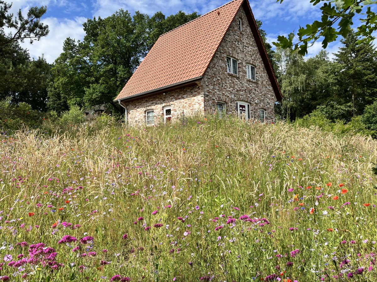 Holiday house Felsenbire im Heidezauber - Outdoor photo 2