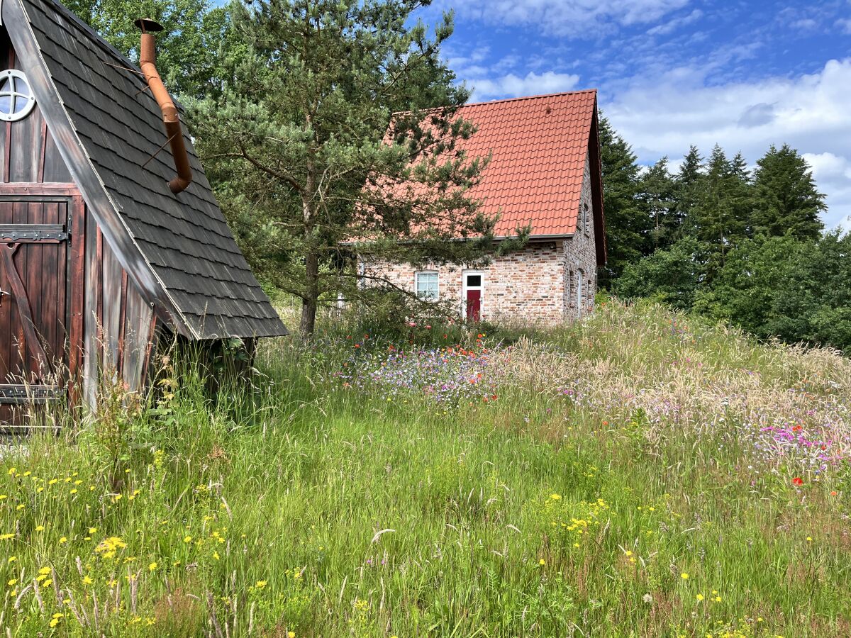 Holiday house Felsenbire im Heidezauber - Outdoor photo 3