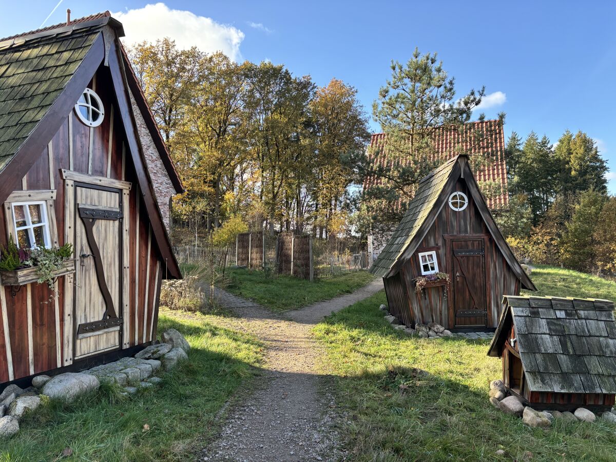 Holiday house Felsenbire im Heidezauber - Outdoor photo 4