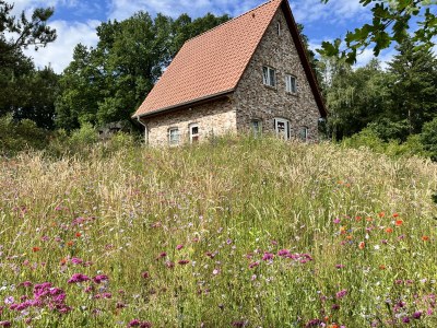 Holiday house Felsenbire im Heidezauber - Outdoor photo 2