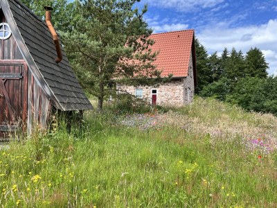 Holiday house Felsenbire im Heidezauber - Outdoor photo 3