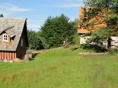 Holiday house Felsenbire im Heidezauber - Outdoor photo 6