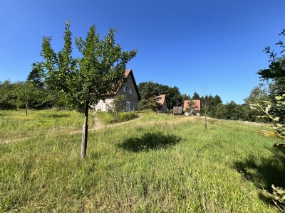 Holiday house Felsenbire im Heidezauber - Outdoor photo 7