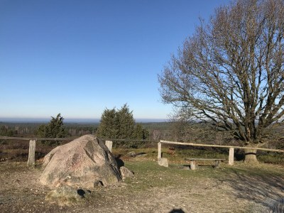 Holiday house Felsenbire im Heidezauber - Environment photo 21