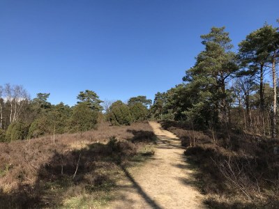 Holiday house Felsenbire im Heidezauber - Environment photo 22