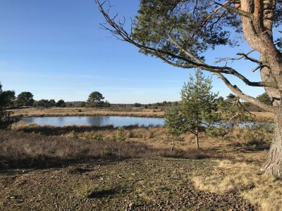 Holiday house Felsenbire im Heidezauber - Environment photo 23