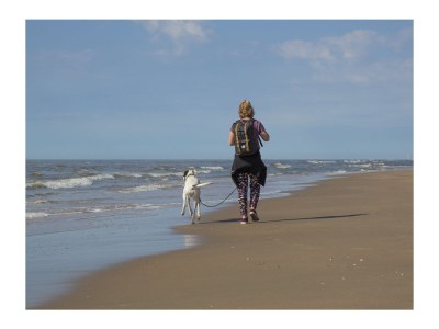 Chalet Wellness Bij De Duinen - Environment photo 20
